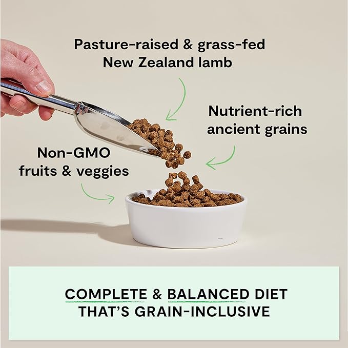 Open Farm, Ancient Grains Dry Dog Food, Protein-Rich & Nutrient Dense, 90% Animal Protein Mixed with Non-GMO Fruits, Veggies and Superfoods, Pasture Raised Lamb Recipe, 22lb Bag