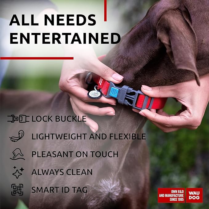 WAUDOG Waterproof Dog Collar Airtag Holder QR Tag Small Medium Large Dogs | Water and Dirt Resistant, Quick Dry QR Pet Tag Adjustable Durable Comfort for Male and Female Dogs Outdoor Walking Training