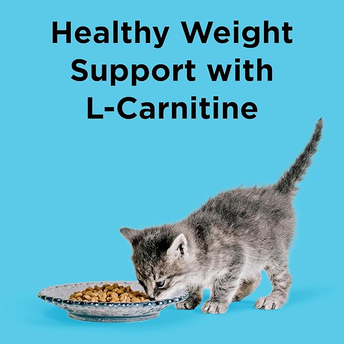 BIXBI Liberty Dry Food Indoor Cat Health Chicken & Salmon Recipe, 10lb