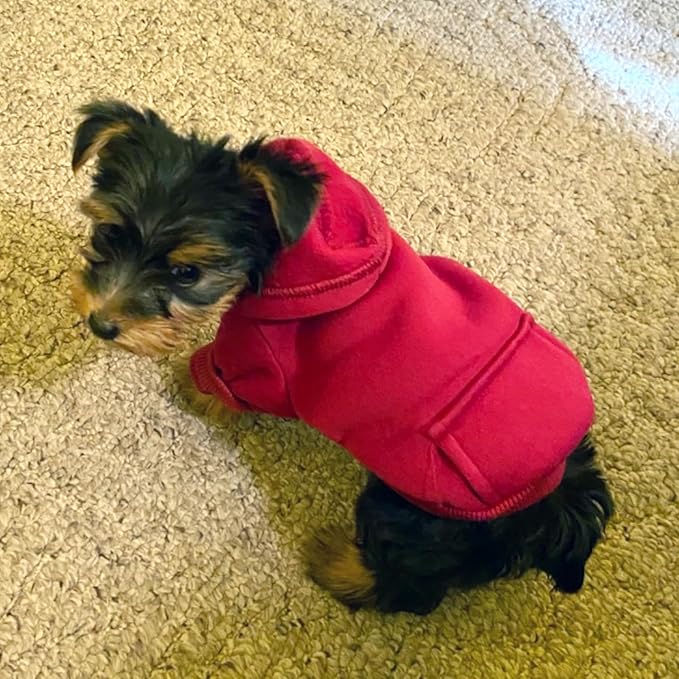 Jecikelon Winter Dog Hoodie Sweatshirts with Pockets Warm Dog Clothes for Small Dogs Chihuahua Coat Clothing Puppy Cat Custume (Wine red, Small)