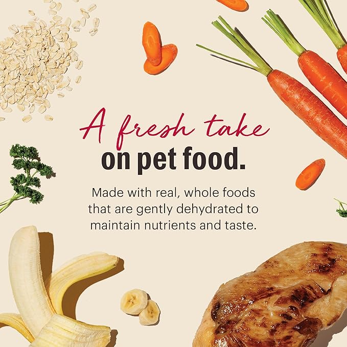 The Honest Kitchen Human Grade Wholemade™ Dehydrated Whole Grain Chicken Dog Food - Complete & Balanced Meal Topper 2 lb Bag