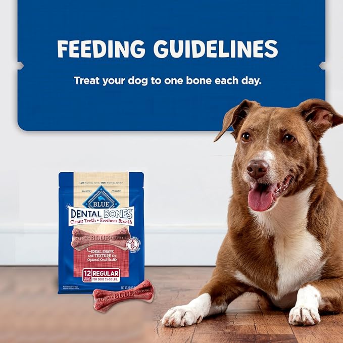Blue Buffalo Dental Bones Regular Natural Dental Chew Dog Treats Bag, 12oz. Bag