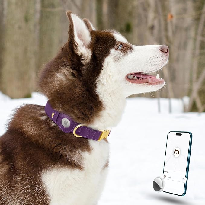 Leather Airtag Dog Collar - Soft Tracking Dog Collar with Apple AirTag Holder and Metal Buckle - Safety GPS Pet Collars for Small Medium Large Dogs Puppy Pink Red (Purple, M, 14"-18" Neck Fit)