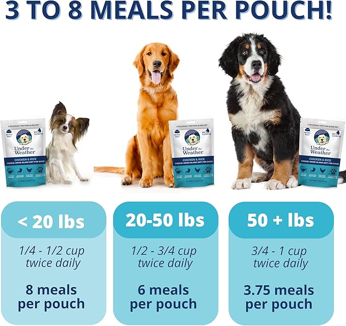 Under the Weather Bland Diet for Dogs | Easy to Digest for Sick Dogs | Always Be Ready | Contains Electrolytes - All Natural Freeze Dried 100% Human Grade Meats | 6 Pack - Chicken, Rice - 6oz