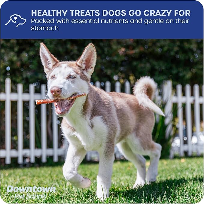 Downtown Pet Supply USA Sourced Bully Sticks for Dogs - Grass-fed Beef Chews, Low-Odor & Rawhide-Free, Long Lasting Dog Treats for Heavy Chewers - Healthy, Safe & Delicious Chews (6" 10 Pack)