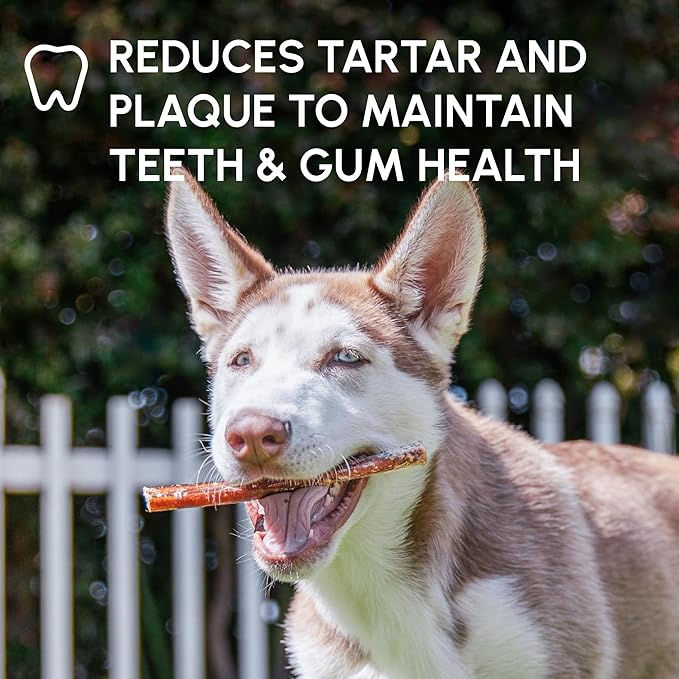 Downtown Pet Supply USA Sourced Bully Sticks for Dogs - Grass-fed Beef Chews, Low-Odor & Rawhide-Free, Long Lasting Dog Treats for Heavy Chewers - Healthy, Safe & Delicious Chews (12" 50 Pack)
