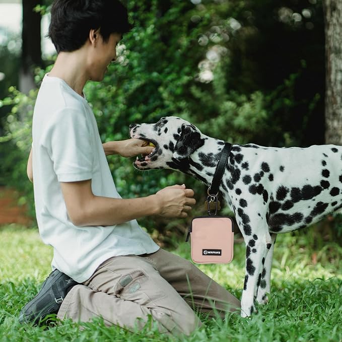 Dog Treat Pouch with Training Clicker,Waterproof Nylon Fabric Poop Bag Holders for Leashes,Hands Free Small Dog Walking Bag with Carabiner, Pet Puppy Training Walking Essentials (Coffee)