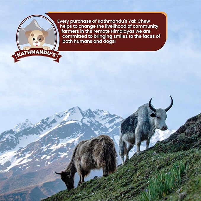 Authentic Himalayan Yak Cheese for Dogs - Small (Pack of 10) - Sourced from Pristine Himalayan Foothill, Rawhide-Free, NO preservatives