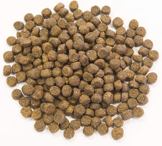 Muenster Grain Free Chicken & Turkey Dry Dog Food, 22lb - Gluten-Free, High Protein, All Life Stages