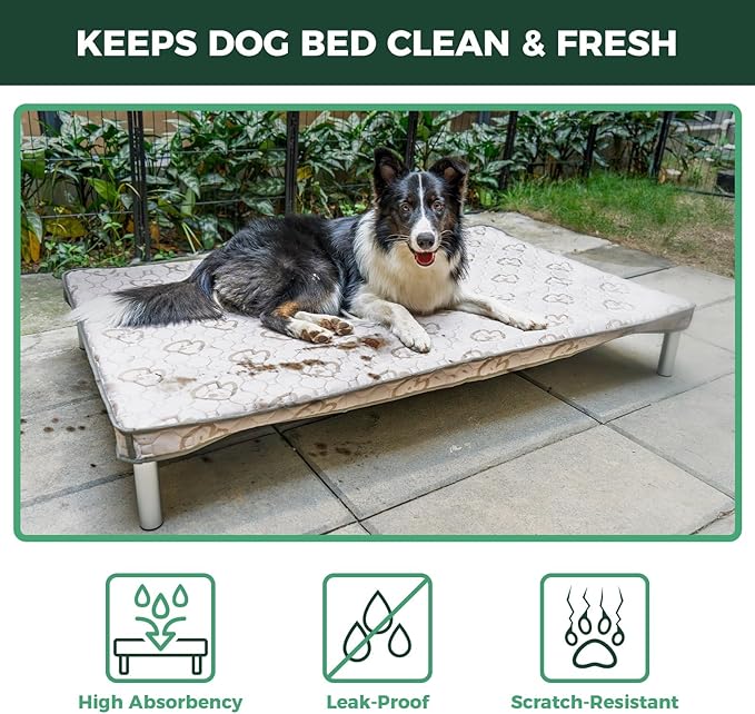 FXW TitanNest Chew-Proof Elevated Dog Bed, Raised Cot for Indoor/Outdoor/Camping Use, Durable & Waterproof Cooling Pet Bed with Exclusive Cover for Small Dogs, 35.0" L x 22.0" W x 4.5" H, Black