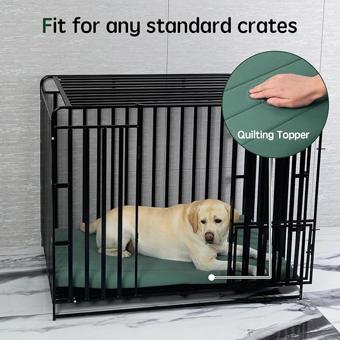 BALANCE Dog Crate Bed, Orthopedic Dog Bed Pad with Waterproof Liner, Washable Crate Foam Pet Mat for Large, Medium, Puppy Dogs Breeds, Mint Leaf, 30"x19"x1.6"