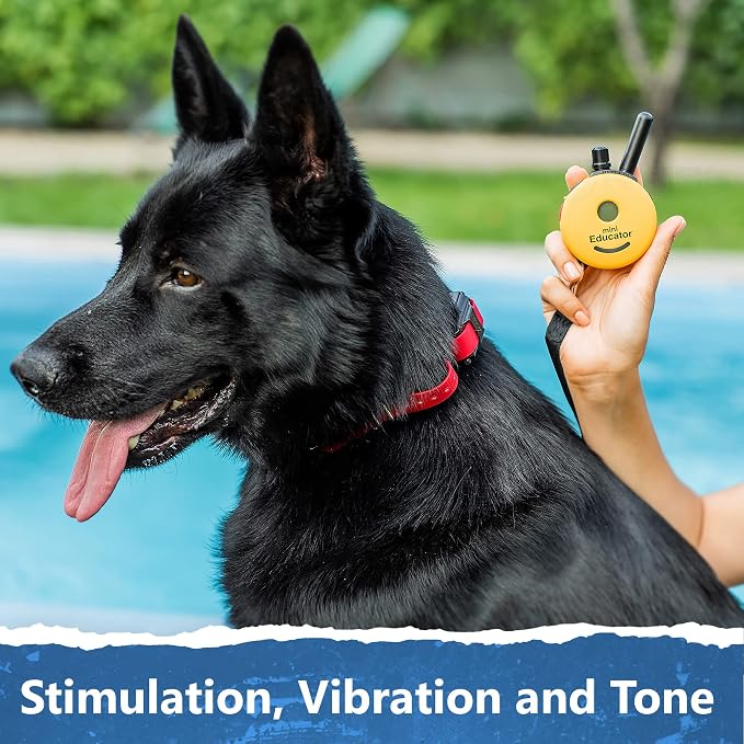 Educator ET-302 Mini E Collar for Dog Training with Remote - 1/2 Mile Range, Waterproof, 100 Blunt Stimulation Levels, Tone or Vibration Mode, Night Light for Small, Medium & Large Dogs (2 Dogs)
