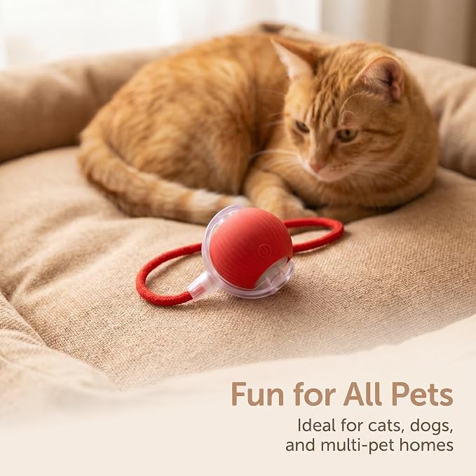 Interactive Pet Toy Ball, 2026 Automatic Dog Toy Interactive Dog Cat Toy Ball Dog & Cat Electric Active Toys, Smart Chase Pet Toy Ball for Dogs for Large Small Dogs Motion Activated (Green)