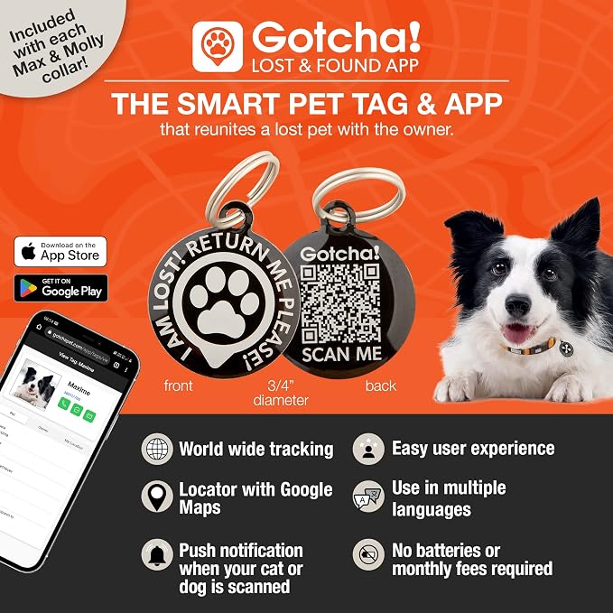 Max & Molly Urban Pets Smart ID Dog Collar - Soft Neoprene, Waterproof, Machine Washable, Power Buckle, Gotcha! QR Tag & Custom App Profile, Sharks, Medium