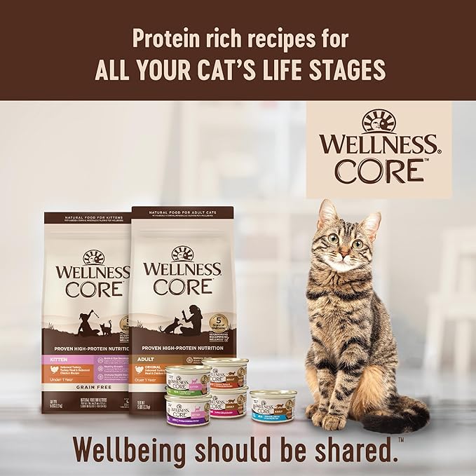 Wellness CORE Signature Selects Chunky Adult Wet Cat Food, Natural, Protein-Rich, Grain Free, 5.3 Ounce, 12 Pack (Beef & Chicken)