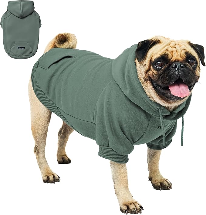 Tuff Pupper Dog Hoodie | Premium Quality Insulated Fabric | Ultra Soft Interior for Superior Comfort | Elastic Cuffs & Drawstring for Warmth | Stretch Fit Suitable for All Breeds (Teal, M)