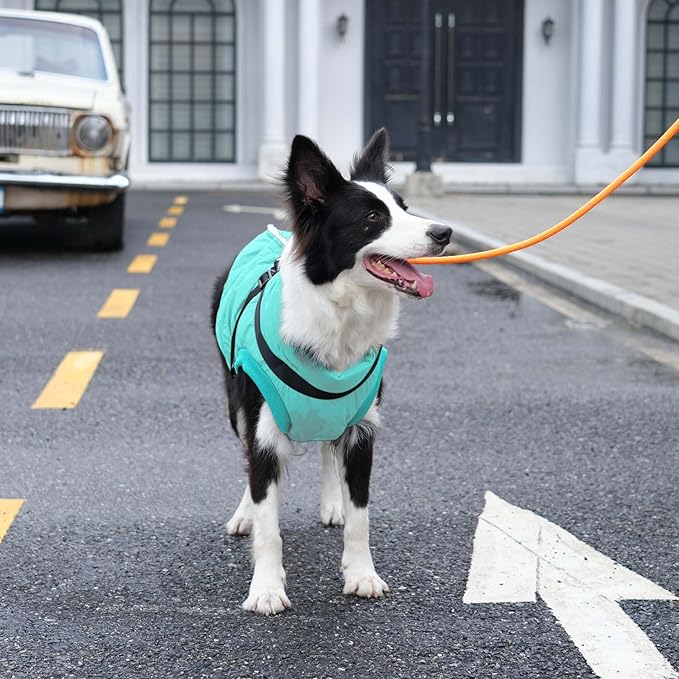 Dog Jacket with Harness,Fleece Lined Warm Puppy Coat for Winter,Soft Windproof Small Dog Vest,Bluegreen M
