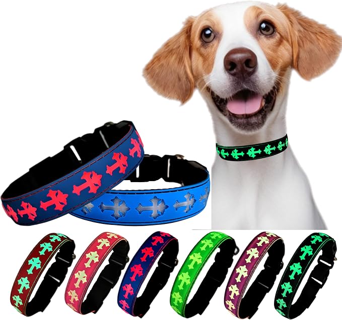 Light Up Glow Dog Collar with Holder Compatible with AirTag