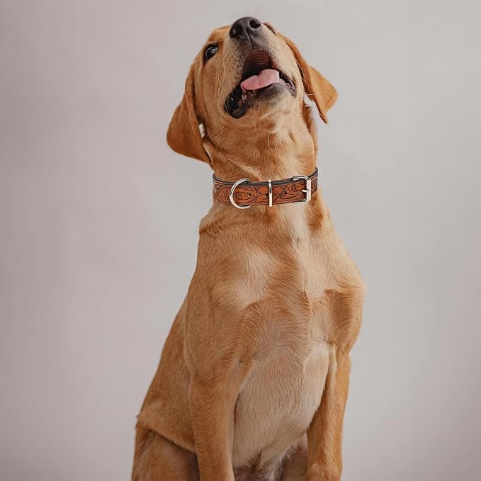 TARICO Adjustable Leather Dog Collar for All Breeds, Heavy Duty Non Padded Pet Collar with Engraved Design Durable Metal Buckle - Tan (Large: Fits 17–21" Necks)