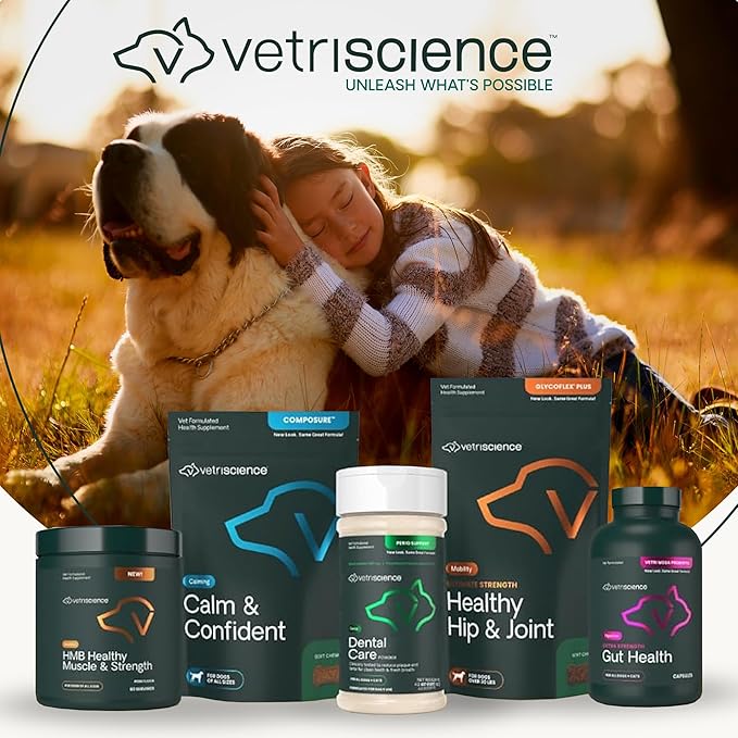 VetriScience Glycoflex 3 Clinically Proven Hip and Joint Supplement for Dogs - Maximum Strength Dog Supplement with Glucosamine, MSM, Green Lipped Mussel & DMG - 2 Pack (120 Chewable Tablets Each)