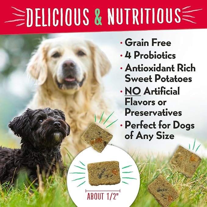 Charlee Bear Grain Free Meaty Bites Freeze Dried Dog Treats, Salmon and Sweet Potato, 2.25 Ounce Resealable Bag, Training Treats or Meal Topper Dogs, High Protein Dog Snacks, Made in USA