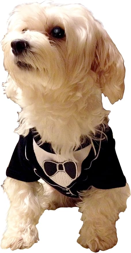 Frenchie Mini Couture Dog Tuxedo, (X-Small)
