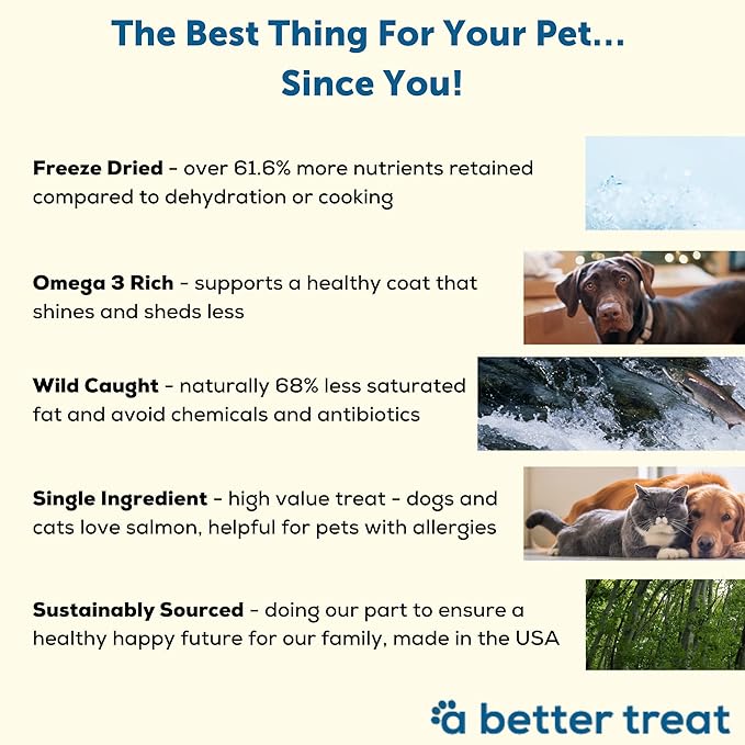 A Better Treat New Freeze Dried Salmon Dog Treats, Wild Caught, Single Ingredient | Natural High Value | Gluten Free, Grain Free, High Protein, Diabetic Friendly | Natural Fish Oil | Made in The USA
