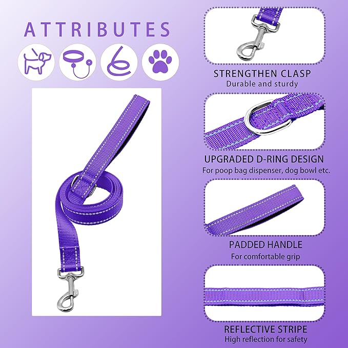 Reflective Dog Collar with Safety Locking Buckle, Adjustable Soft Breathable Nylon Collars for Small, Medium and Large Dogs(Collar+Leash XS Width 3/8" Purple)