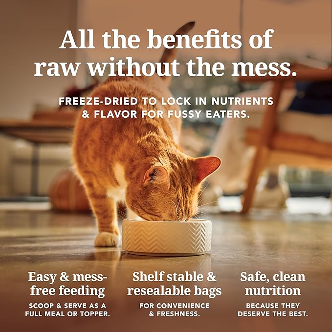 Feline Natural High Protein Dry Cat Food, Freeze-Dried Diet with 98% Meat, Organs & Seafood, No Peas, Grains, or Artificial Additives, Made in New Zealand Beef & Hoki, 3.5oz