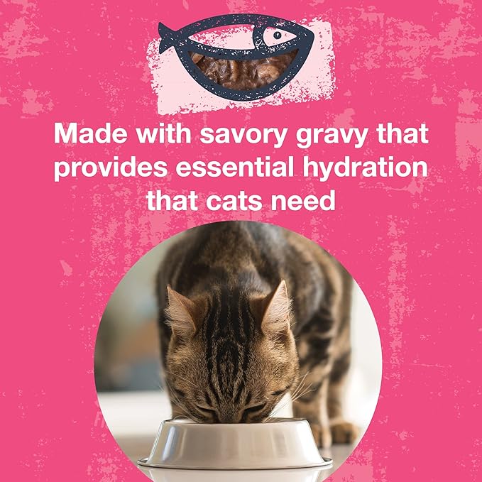 KOHA Poké Bowl Tuna & Shrimp Entree in Gravy for Cats, 12-Pack of 3oz Pouches