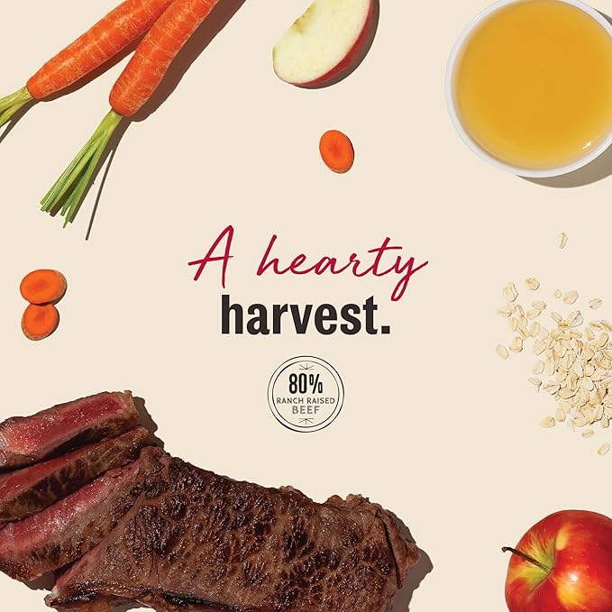 The Honest Kitchen Human Grade Jerky Harvest Mini Bars: Beef Recipe With Carrots & Apples, 4 oz Bag