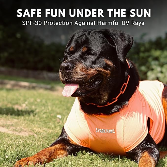 Spark Paws Sunblock Dog T-Shirt, SPF30 Protection, Lightweight Breathable Quick Dry for Dogs with Sensitive Skin - Purple & Peach (Set of 2) - 2XL