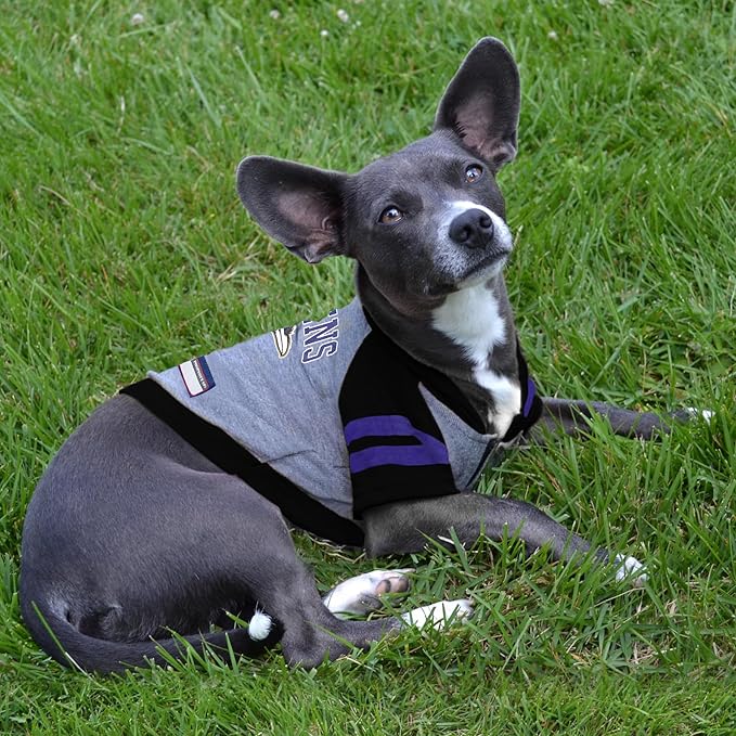 NFL BALTIMORE RAVENS HOODIE for DOGS & CATS. | NFL FOOTBALL licensed DOG HOODY Tee Shirt, Large| Sports HOODY T-Shirt for Pets | Licensed Sporty Dog Shirt.