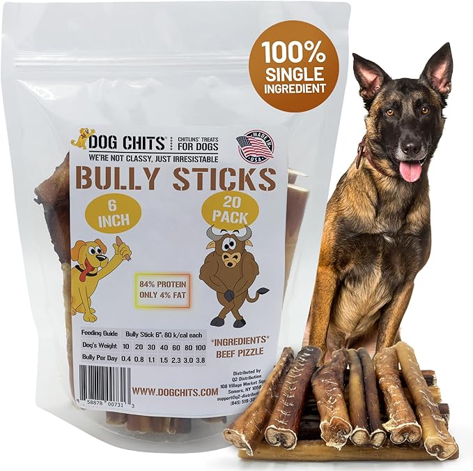 Dog Chits 6 inch Bully Sticks for Dogs & Puppies - 100% Beef Pizzle, High Protein, Low Fat Dog Chew Sticks - Baked, Low-Odor – Long-Lasting Chew, Keep Dogs Engaged & Happy - Made in USA - 20 Pack