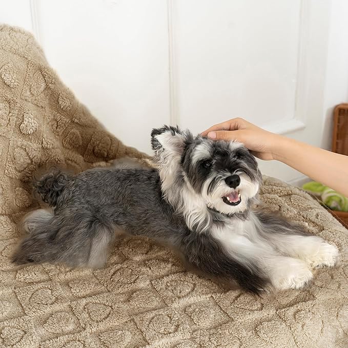 gogobunny Calming Plush Dog Cat Blanket 300GSM Coral Fleece, Ultra-Soft Machine Washable Pet Bedding for Small Medium Dogs Cats Puppies Kittens (Brown, 60x80)
