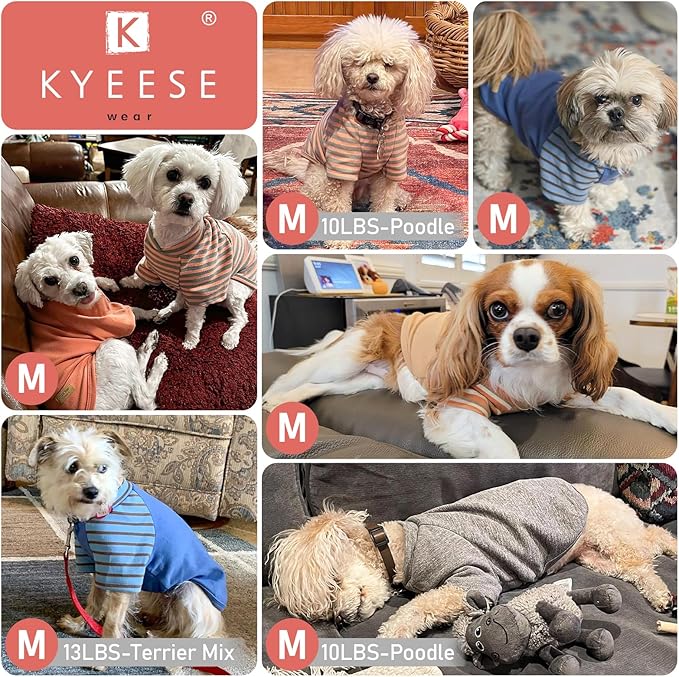 KYEESE 3Pack Dog Sweater, Soft Puppy Sweatshirt Pullover Stretchy Dog Sweater for Small Dogs Girl Boy, Lightweight Fleece Cat Shirt Pet Clothes with Sleeves, M