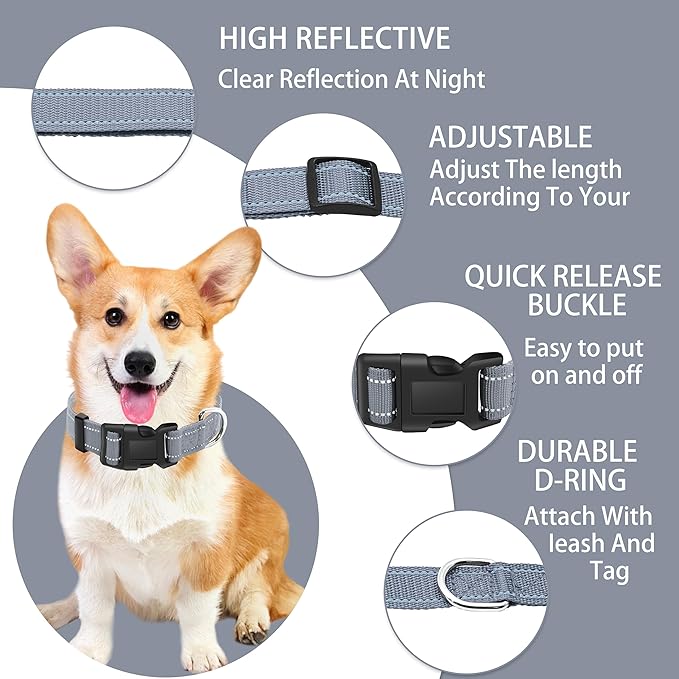 Reflective Dog Collar with Safety Locking Buckle, Adjustable Soft Breathable Nylon Collars for Small, Medium and Large Dogs(Collar+Leash XS Width 5/8" Gray)
