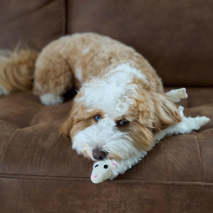 SPOT Skinneeez Crinklers Lamb - Stuffing-Free Dog Toy with Crinkle & Squeaker Sounds, Durable for Moderate Chewers, Tug Toy for Small Dogs & Puppies, 14in