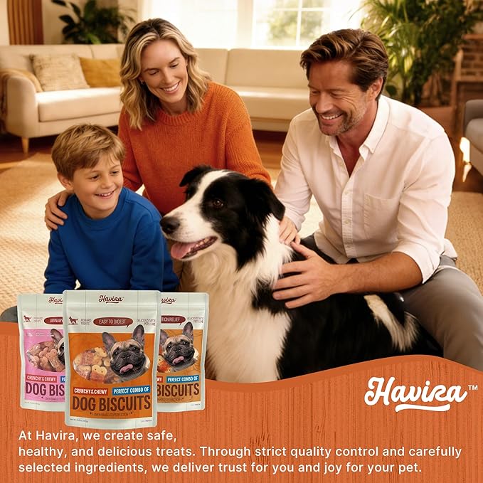 Havira Chicken Wrapped Biscuits Dog Treats, 16oz Training Treats for Dogs Rewards Snacks for Small & Large Breeds, Pumpkin Flavor