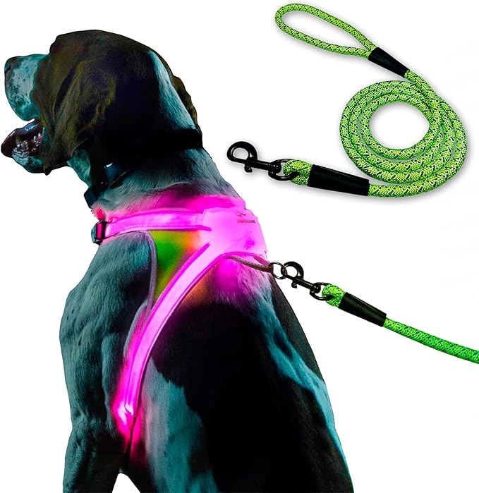 Noxgear LightHound (Large) + High-Visibility Dog Leash – Illuminated and Reflective Harness for Dogs Including Multicolored LED Fiber Optics (USB Rechargeable, Adjustable, Lightweight, Rainproof)