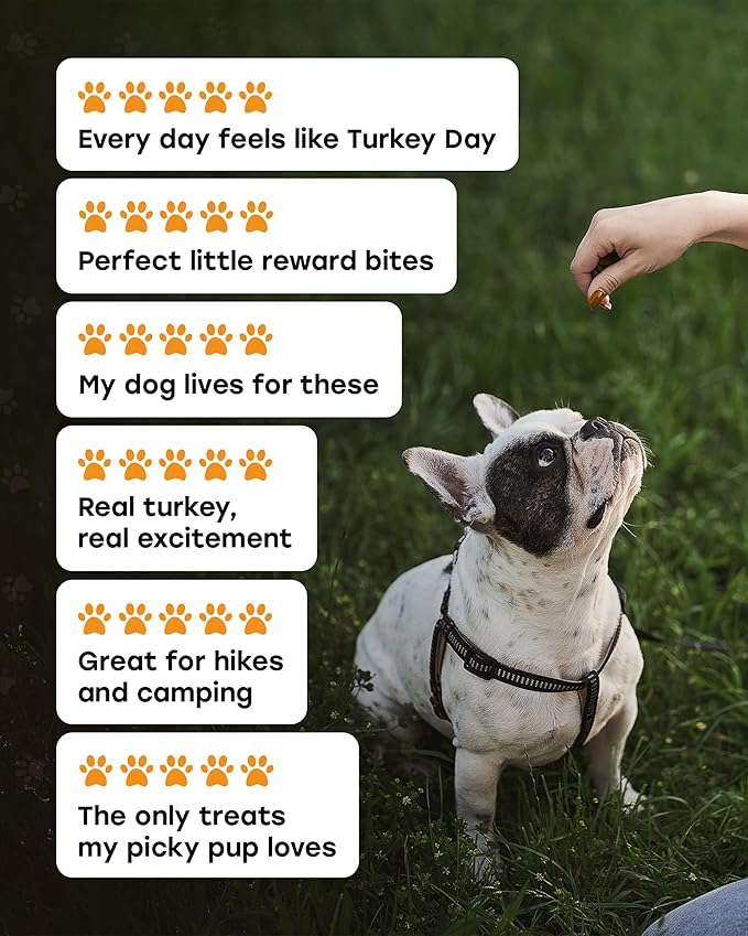 Freeze-Dried Raw Dog Treats – Real Turkey with Pumpkin, Sweet Potato & Cranberry – Single Protein, High-Protein, Grain-Free Daily Reward Turkey Day Bites & Meal Topper – Made in USA – 5.5oz. - 300ct