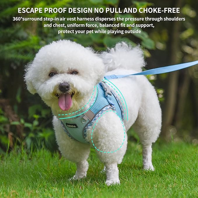 AIITLE XXS Dog Harness & Leash Set - Breathable Reflective No-Choke Small Dog Harness for Teacup Puppies, Indoor/Outdoor Use - Boston Terrier, Maltese, Chihuahua (Blue, XXS)