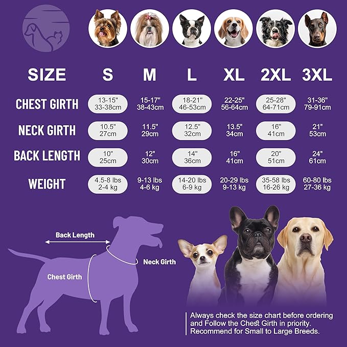 cyeollo 2 Pack Fleece Dog Sweater Vest Dog Sweatshirt Reflective Lightweight Doggie Clothes for Small Dogs Girl Pet Apparel Pink, Fuschia, M