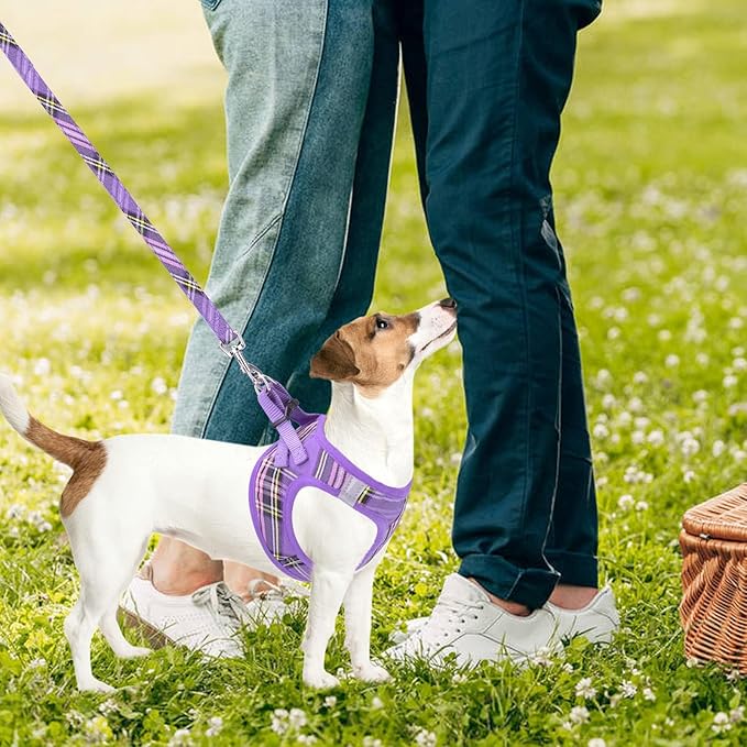PUPTECK Adjustable Dog Harness Collar and Leash Set Step in No Pull Pet Harness for Small Medium Dogs Puppy and Cats Outdoor Walking Running, Soft Mesh Padded Reflective Vest Harnesses, Purple M