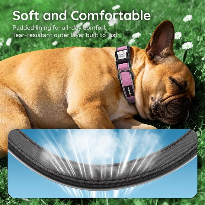 Personalized Dog Collar with QR Code Dog Tag, Oxford Pink S | Anti-lost, Oxford, reflective, padded, XS-L(8"-24"), QR buckle shares lost pet profile, location alerts when scanned, No Fees