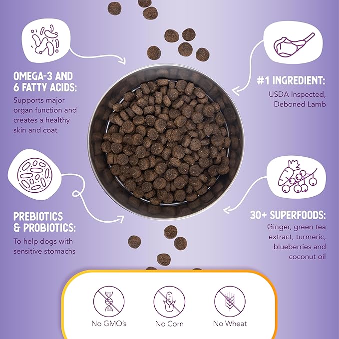 Health Extension Lamb & Brown Rice Dry Dog Food, Protein Packed Formula with Probiotics & Superfoods for Digestion & Coat Health (15lb)