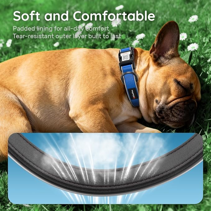 Personalized Dog Collar with QR Code Dog Tag, Oxford Blue S | Anti-lost, Oxford, reflective, padded, XS-L(8"-24"), QR buckle shares lost pet profile, location alerts when scanned, No Fees