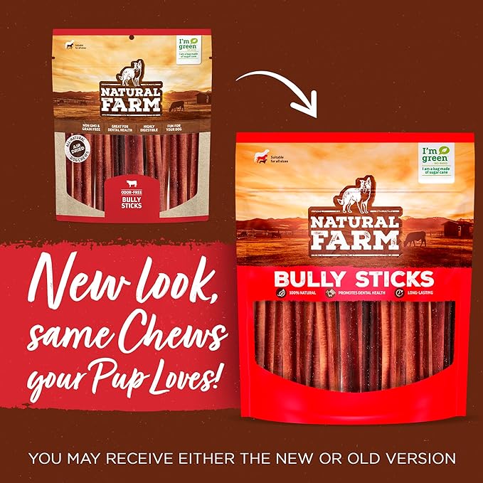 Natural Farm Odor-Free Bully Sticks (12 Inch, 12 Pack), 1.2 lbs. Per Bag, 100% Beef Pizzle Chews, Grass-Fed, Non-GMO, Fully Digestible Long Lasting Best Dental Treats to Keep Your Dogs Busy