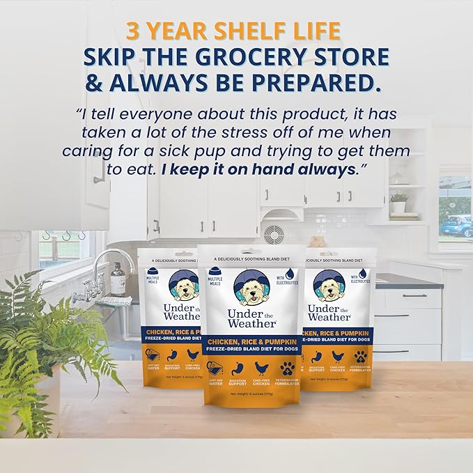 Under the Weather Bland Diet for Dogs | Easy to Digest for Sick Dogs |Always Be Ready | Contains Electrolytes - All Natural Freeze Dried 100% Human Grade Meats | 6 Pack - Rice, Chicken & Pumpkin - 6oz