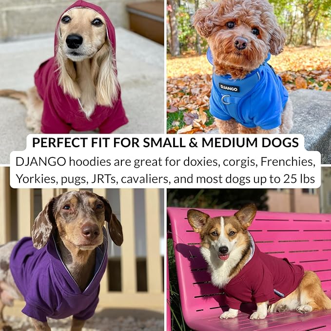 DJANGO Dog Hoodie – Warm Winter Dog Sweater & Fully Lined, Cozy Sweatshirt for Small & Medium Dogs, Dachshunds – Soft, Stretchy, Puppy Hoodie with Leash Portal, Elastic Waistband – Quartz Pink, Small